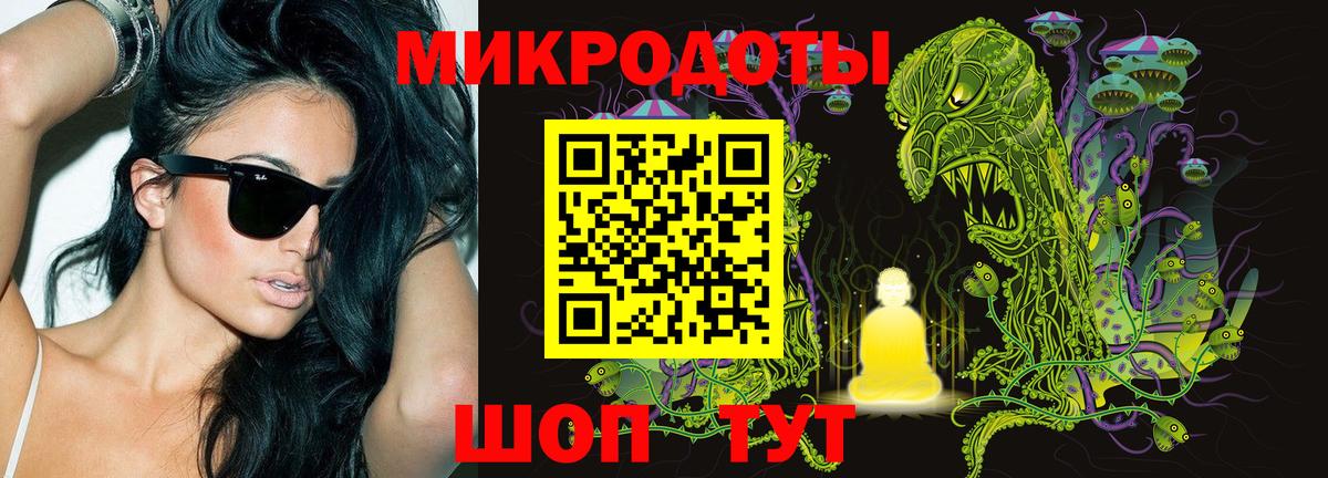 Псилоцибиновые грибы Psilocybine cubensis Москва
